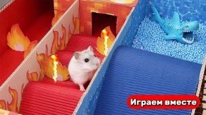 Хомяк попал в ГОРЯЧИЙ и ХОЛОДНЫЙ лабиринт с ЛОВУШКАМИ ! Видео для детей