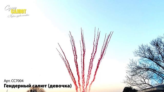 СС7004_2025 смотреть онлайн
