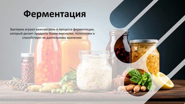 УРОК 21 ｜ 7 класс. Роль бактерий в природе и жизни человек смотреть онлайн