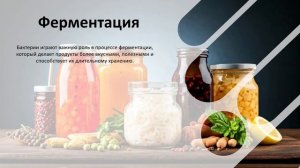 УРОК 21 ｜ 7 класс. Роль бактерий в природе и жизни человек