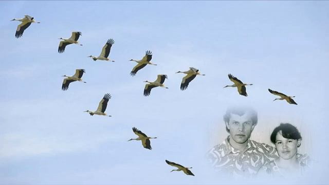 Жравлиная стая. Исполняют супруги Таскира и Владимир Максюты смотреть онлайн