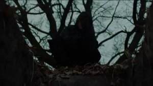 ATL - Серпантин