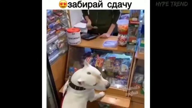 Подборка лучших роликов из Инстаграма 17 смотреть онлайн