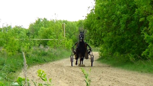 Султан. Рабочие будни смотреть онлайн