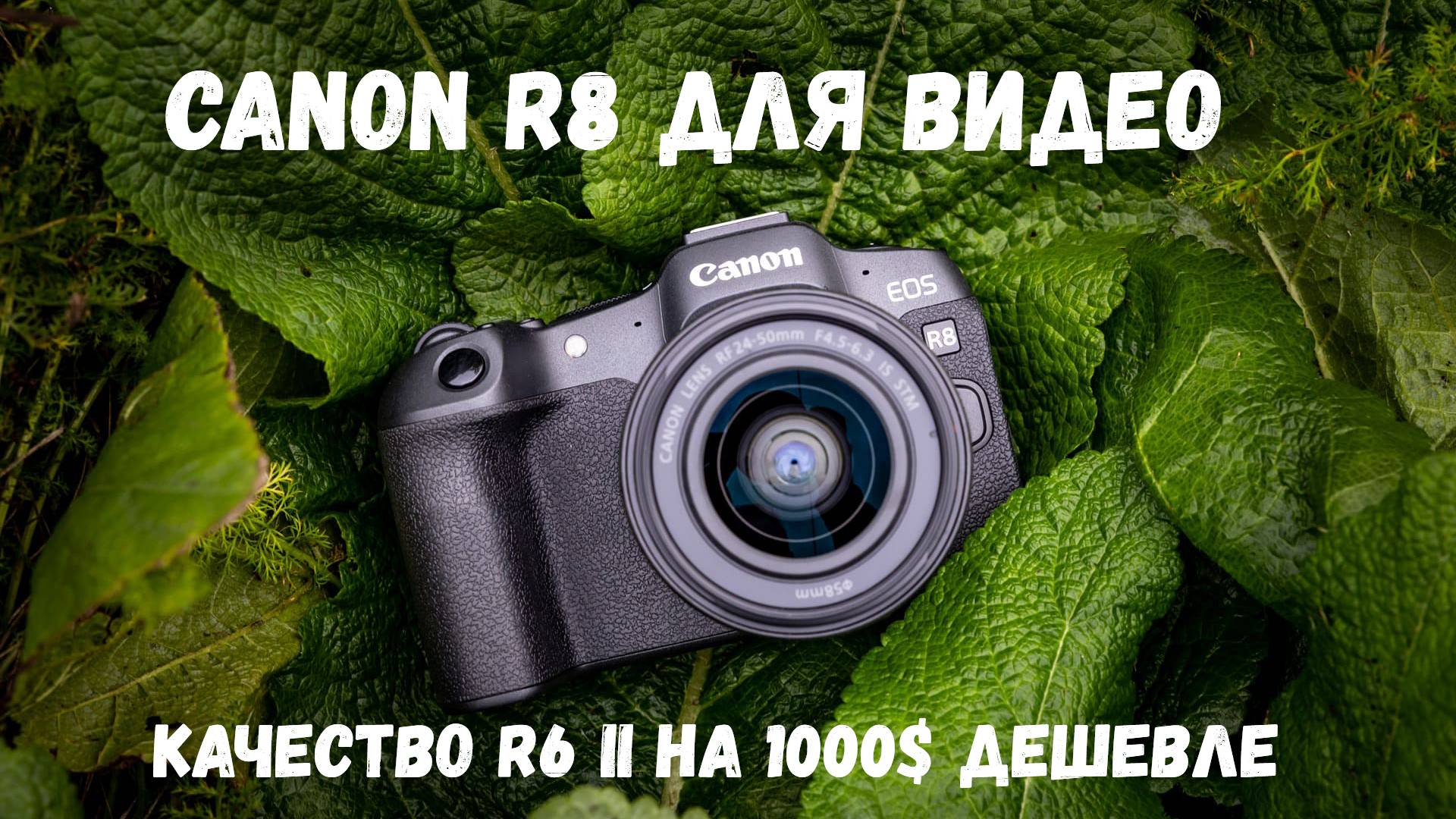 Обзор canon r8 для видео смотреть онлайн