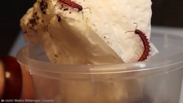 15 Strangest Things Recently Discovered In Thailand смотреть онлайн