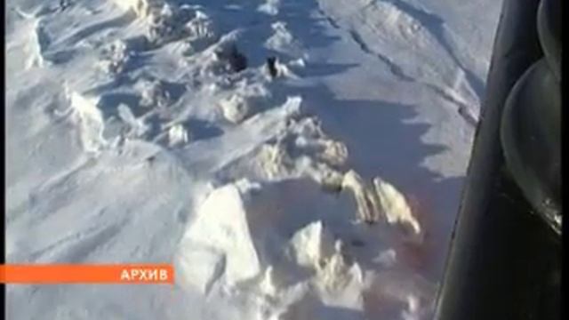 Российских путешественников на Северный Полюс стало больше смотреть онлайн