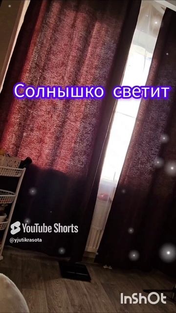 Жизнь в городе #кот #котики