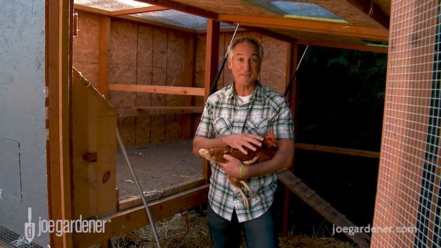 Deep Litter Method - Cleaning a Chicken Coop смотреть онлайн