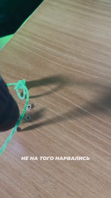 Когда город засыпает, просыпается мафия😎 #электроинструменты #шуруповерт #лайфхаки #юмор смотреть онлайн