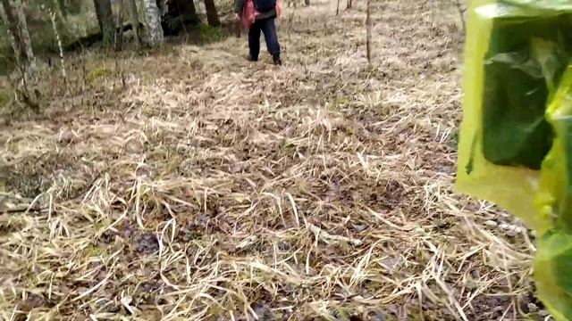 Экскурсия 22-02-2020-4 смотреть онлайн