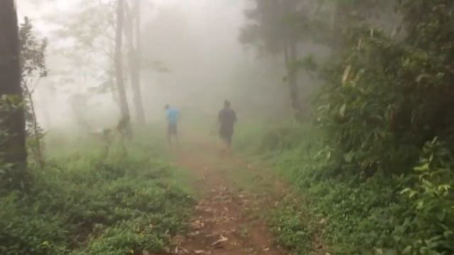 Manjapullu Mountain Trekking | Kannur, Kerala смотреть онлайн