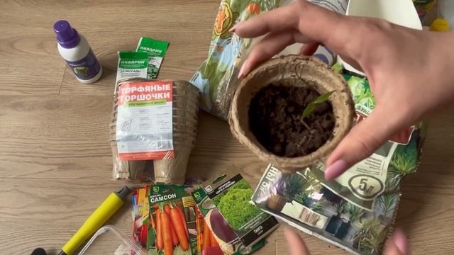 Что купить для РАССАДЫ? #рассада