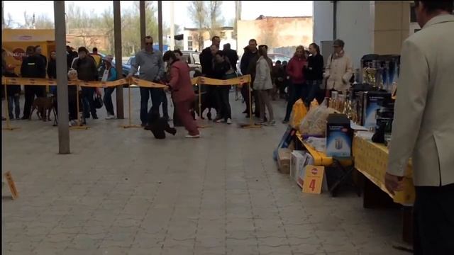 Люсмо Мирабелла, 2016 смотреть онлайн