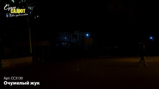 СС3130_2025 смотреть онлайн