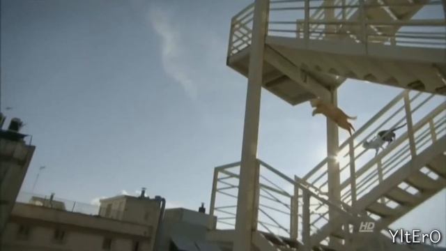 Сказал кис-кис и стал Макщем на 24 секунды | RYTP смотреть онлайн