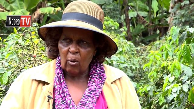 Murimi umwe wa kahua kuraha uria kamuteithetie, Kirinyanga смотреть онлайн