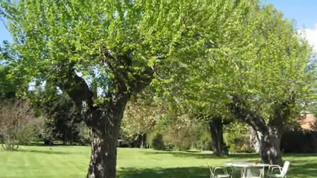 Todi Italy смотреть онлайн