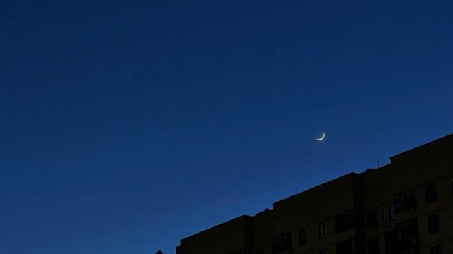 Сужение себя до личности смотреть онлайн