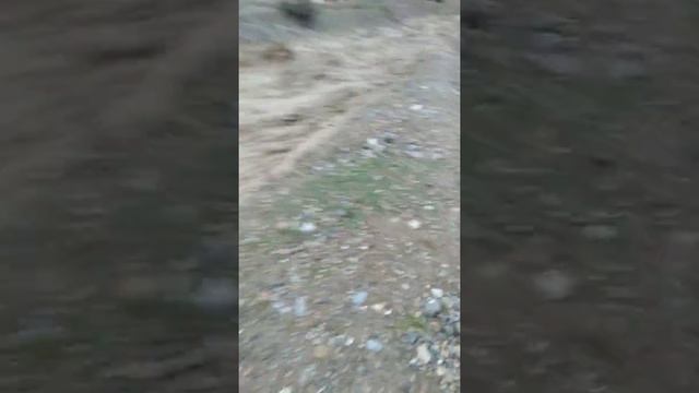 Дехаи росровут сел смотреть онлайн
