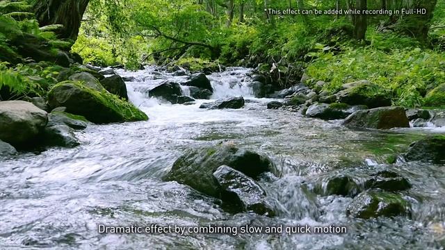 Introducing Panasonic Lumix FZ2000 FZ2500 Video Performance II смотреть онлайн