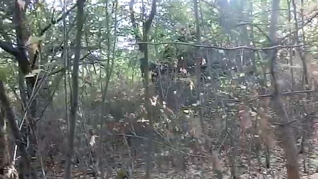 Ютербогский госпиталь,здание магазина,ДОС.26.09.2018 смотреть онлайн
