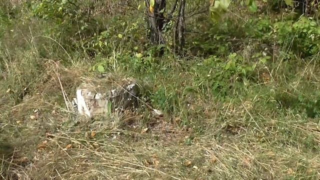 08 09 20 ч4 куски от старого кафе смотреть онлайн