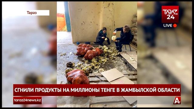СГНИЛИ ПРОДУКТЫ НА МИЛЛИОНЫ ТЕНГЕ В ЖАМБЫЛСКОЙ ОБЛАСТИ смотреть онлайн