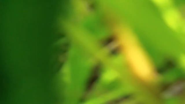 02.05.14 Удар по блокпосту Славянска смотреть онлайн