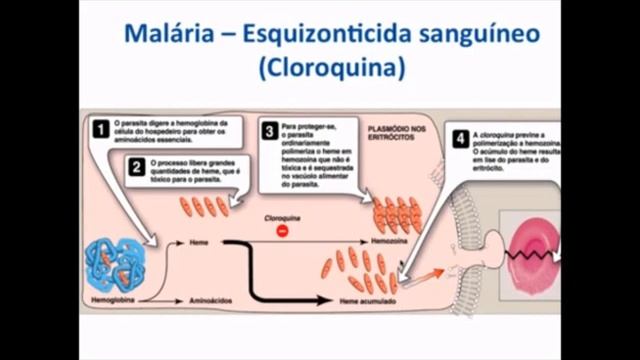Aula 08/12/2020 - Antiprotozoários e Antihelmintos смотреть онлайн