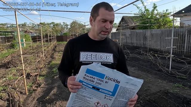 Як захистити виноград від антракнозу 2024 смотреть онлайн