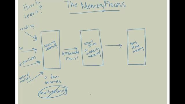 The Memory Process (Segment of the Learning and Memory Video) смотреть онлайн