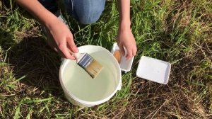 Как мыть кисть после краски