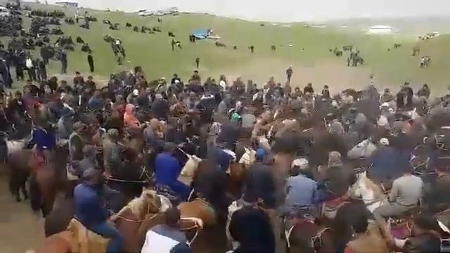 #Самарканда булган🐎 кубка смотреть онлайн
