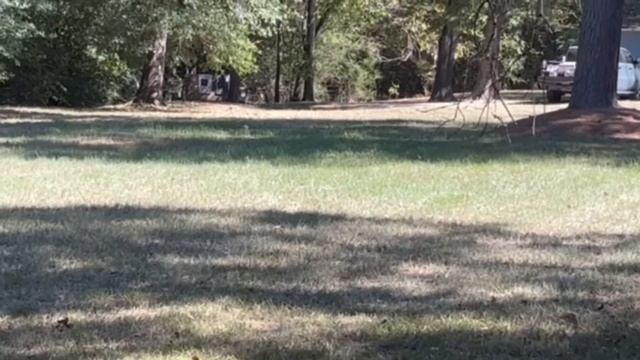 Henry X .357 @100 yds with primary arms red dot смотреть онлайн