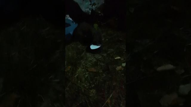 Путь к рыбалке