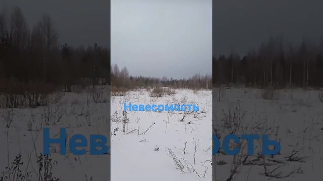У моего творческого друга @a.skripnik1458 вышла песня "Невесомость". На всех муз. площадках#music смотреть онлайн