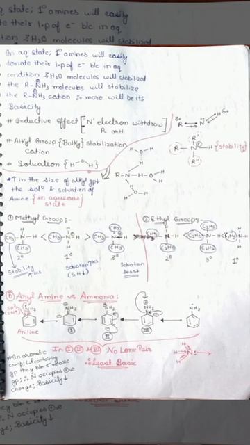 Chapter 13 Amines (NOTES) Class 12 Chemistry Session 2021-2022 смотреть онлайн