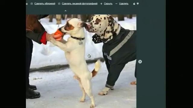 Видео Презентация Социальной Сети Геометрии.ру смотреть онлайн