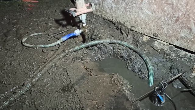 абиссинка на 33 метра. к сожалению не вышло. побили свой рекорд глубины . было 30.5м