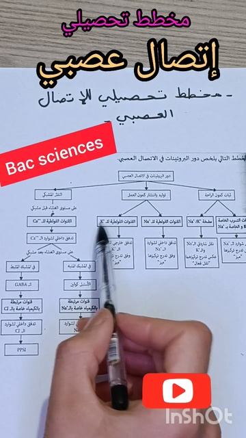 إتصال عصبي. Bac sciences. كمون الراحة والعمل والنقل المشبكي смотреть онлайн