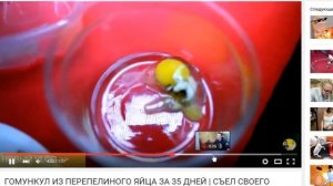 |ГОМУНКУЛ| ТОП 5 самых удачных экспериментов с ГОМУНКУЛОМ