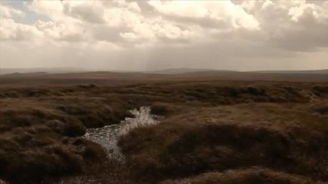DARTMOOR FILM : Wild River, Cold Stone - The Story of Dartmoor by Chris Chapman and Kate King смотреть онлайн