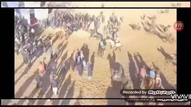 Қыпшақ Еркін палуан смотреть онлайн