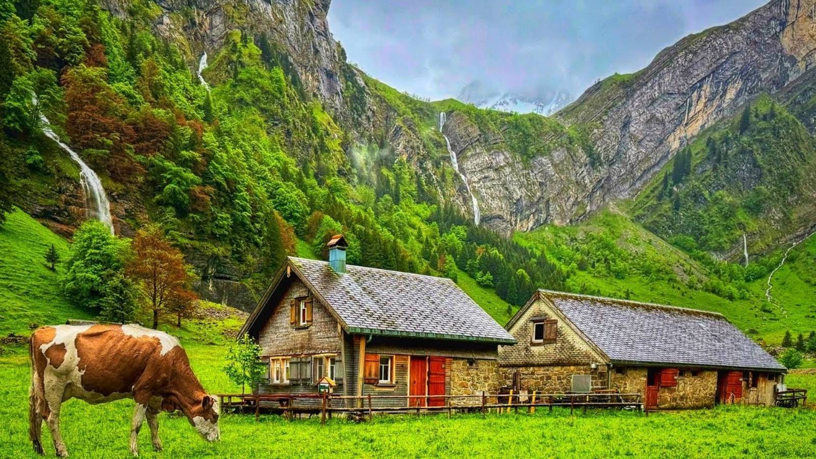 Сельская местность Швейцарии - расслабляющая прогулка по самым красивым местам Швейцарии #шариклайф смотреть онлайн