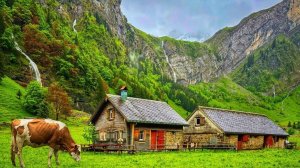 Сельская местность Швейцарии - расслабляющая прогулка по самым красивым местам Швейцарии  #шариклайф