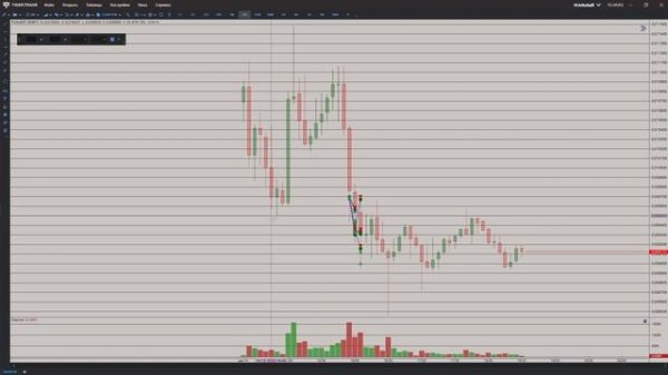 Обновление терминала TigerTrade. Отображение  стакана в долларах. Настройка ленты