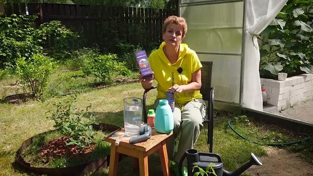 Баковая смесь от Наталии Петренко. Актара и Аминосил. Защищаем жимолость от вредителей и болезней.