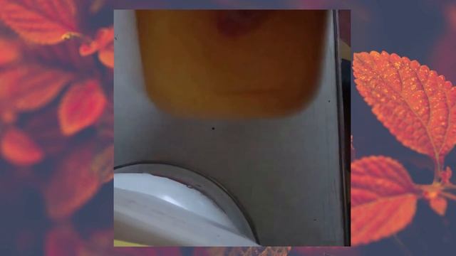 Продолжение Приготовления сильно крутого кофе #ЧАСТЬ2 смотреть онлайн