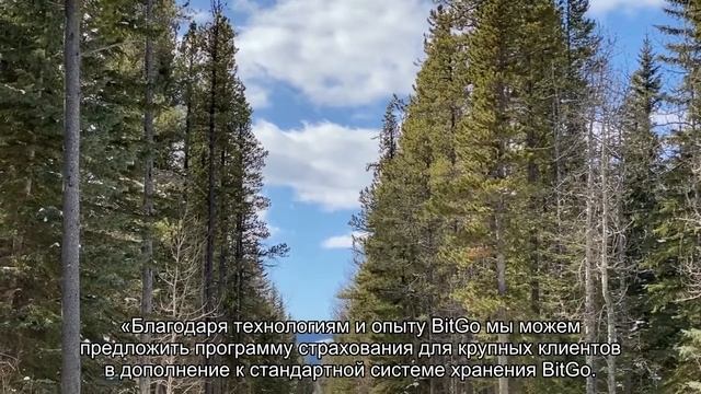 BitGo расширила программу страхования до $700 млн для институциональных клиентов смотреть онлайн